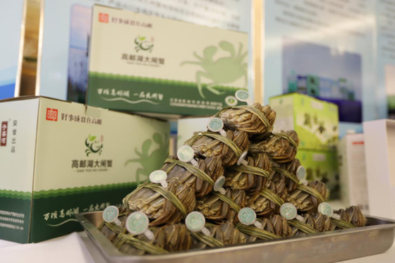 大闸蟹