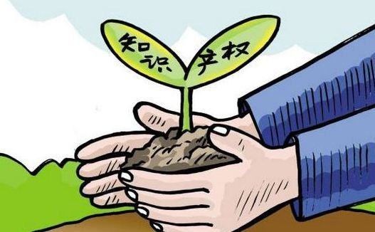 上海召开2020年知识产权联席会议工作会议