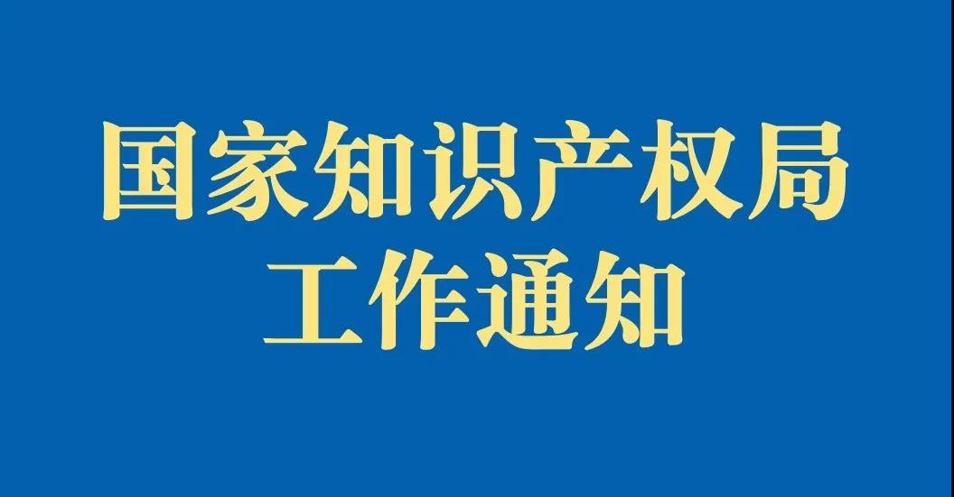 知识产权