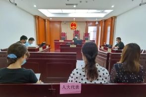医药高新区法院著作权审判